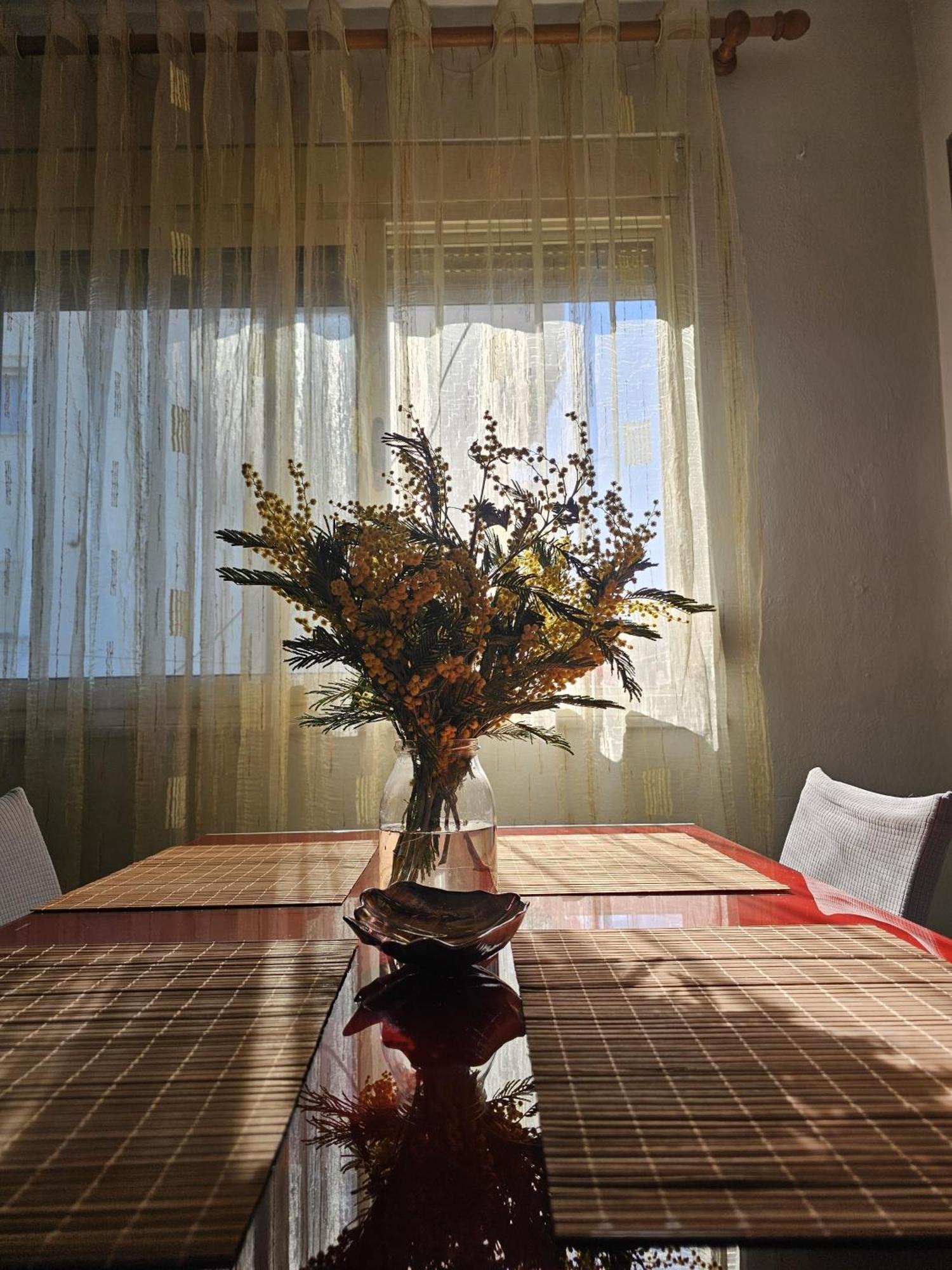 Library Apartment By Bohem Rentals Durrës Zewnętrze zdjęcie